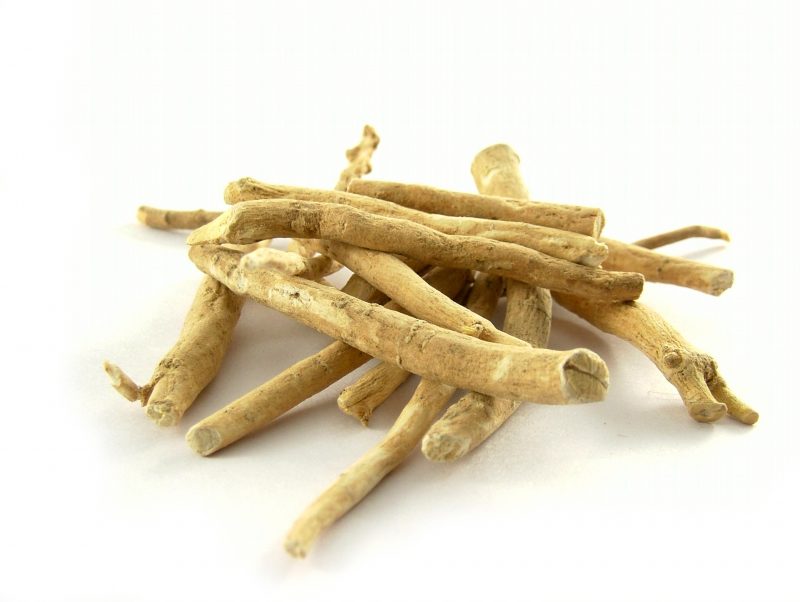 The ashwagandha plant