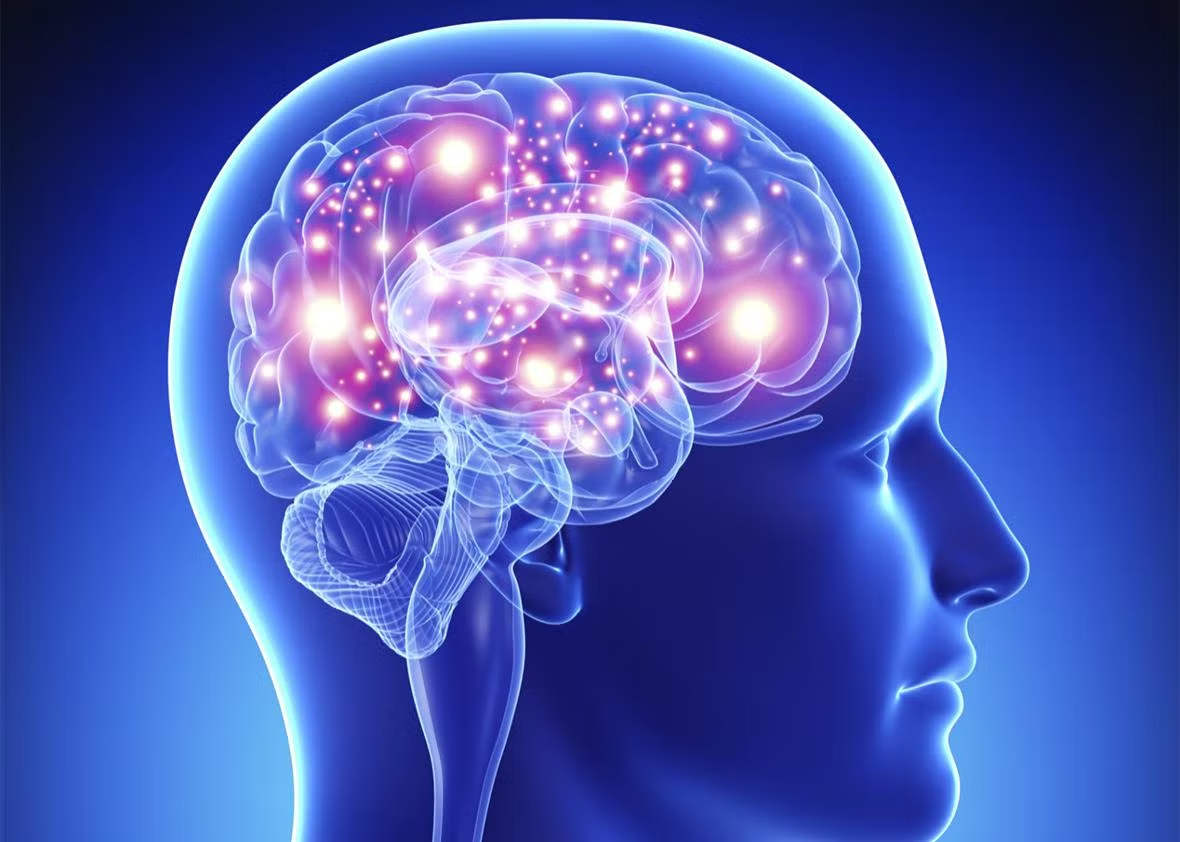 B vitamins support brain health