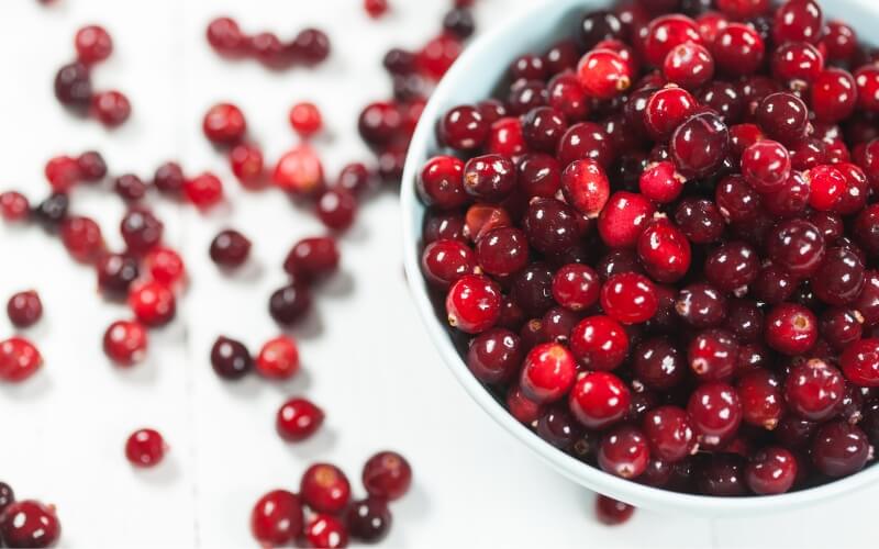 Cranberries are rich in beneficial compounds