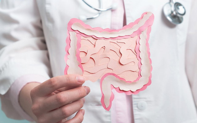 The gut does far more than just digest food