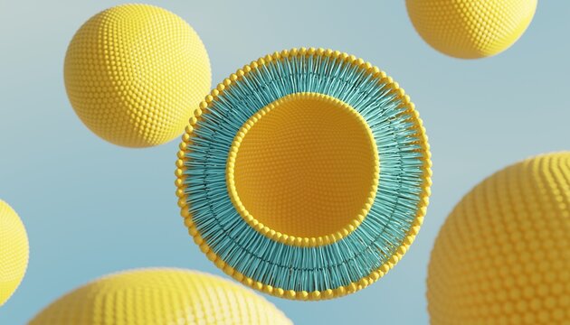 Simple model of a liposome with an outer fat layer and an inner water chamber