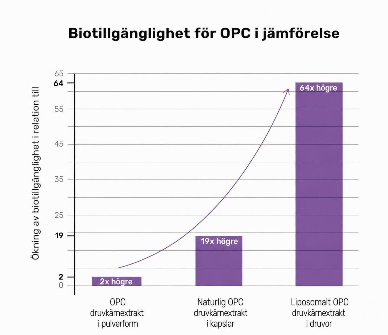 Liposomes protect the OPC inside them from being broken down by enzymes
