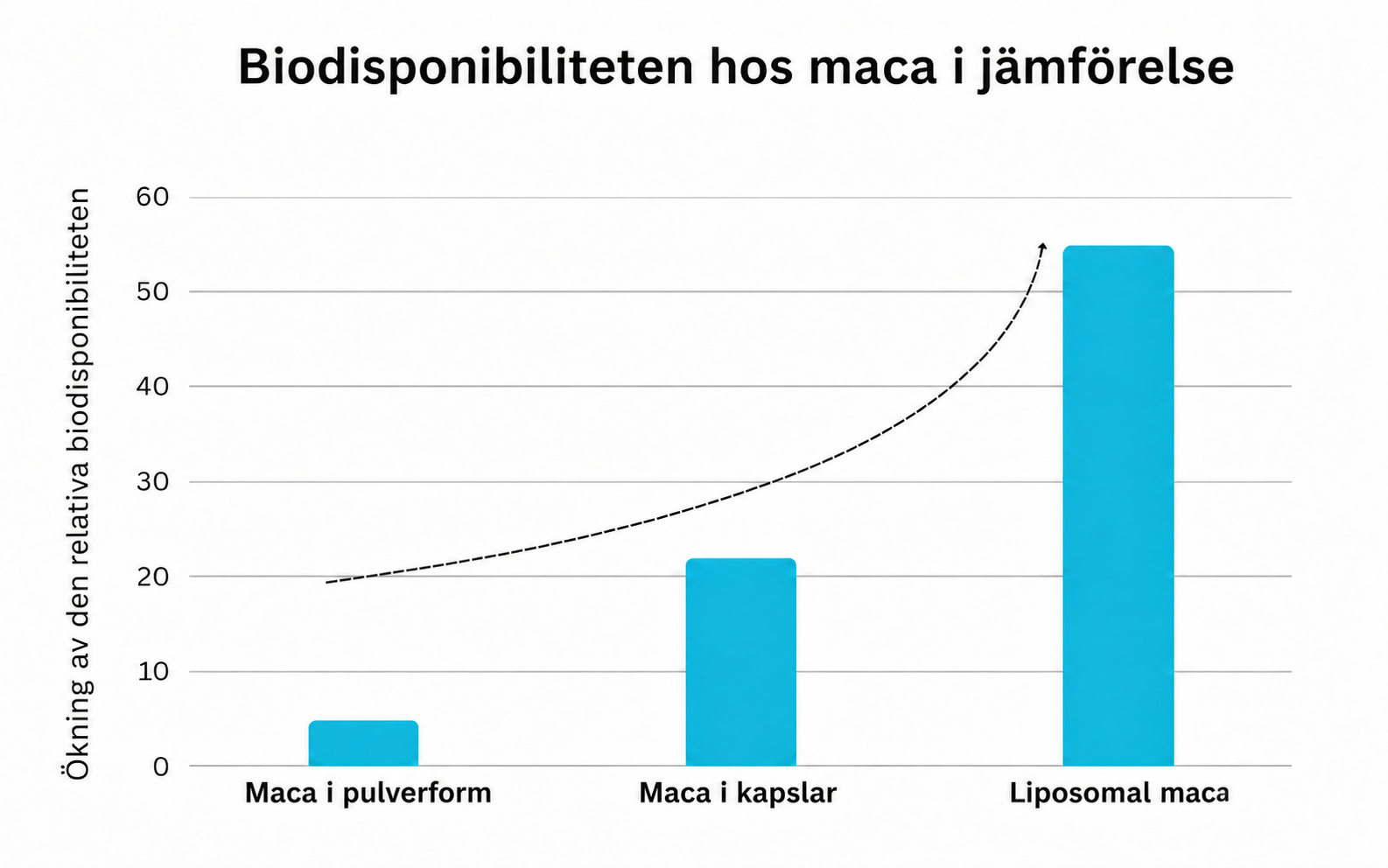 Model of a liposome protecting maca's active ingredients